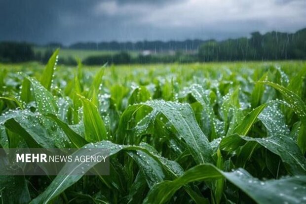 آمادگی دستگاههای اجرایی ایلام برای پیشگیری از خسارت بارشهای پائیزی آمادگی دستگاههای اجرایی ایلام برای پیشگیری از خسارت بارشهای پائیزی