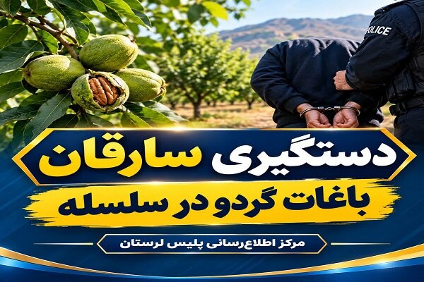 بیش از ۳۰۰ کیلوگرم گردوی سرقتی در سلسله کشف شد بیش از ۳۰۰ کیلوگرم گردوی سرقتی در سلسله کشف شد