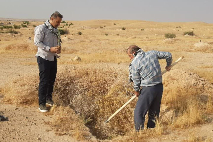 غرس ۲۵۰ اصله نهال کنار در ورودی مرز چیلات دهلران غرس ۲۵۰ اصله نهال کنار در ورودی مرز چیلات دهلران